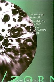 Celestial Subway Lines/Salvaging Noise movie poster