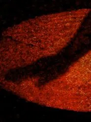 Materia Obscura movie poster