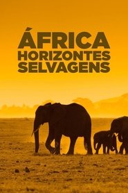 Poster da série África: Horizontes Selvagens