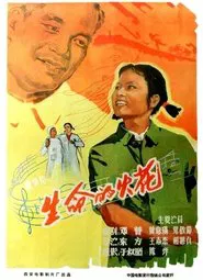 Poster do filme 生命的火花