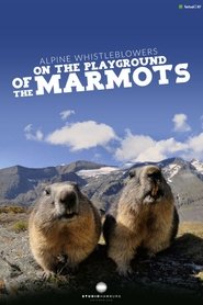 Alpine Whistleblowers - on the playground of the marmots movie poster