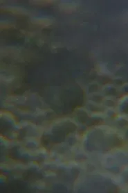 The Nursery of Worlds movie poster