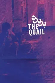 The Quail: The Tale of a Boy Who Asks movie poster