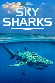 Sky Sharks movie poster