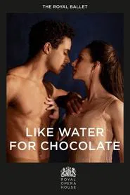 Poster do filme Like Water for Chocolate