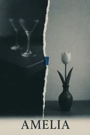 Poster do filme Amelia