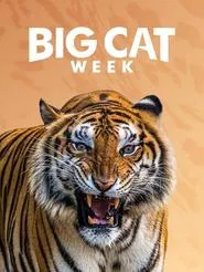 Big Cat Diary tv show poster