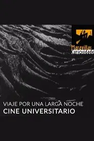 Poster do filme Viaje por una larga noche