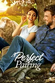 A Perfect Pairing movie poster