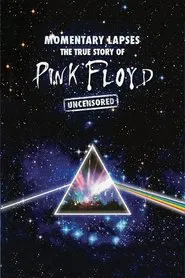 Pink Floyd: Momentary Lapses - The True Story of Pink Floyd movie poster