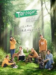 TOP DOG 回家 tv show poster