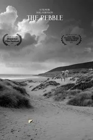 Poster do filme The Pebble