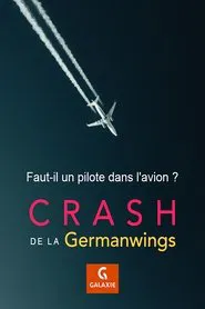 Faut-il un pilote dans l'avion ? movie poster