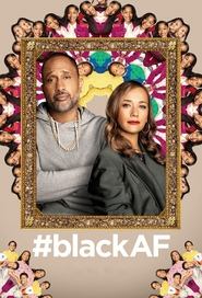 Black Excellence tv show poster