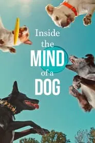 Inside the Mind of a Dog movie poster