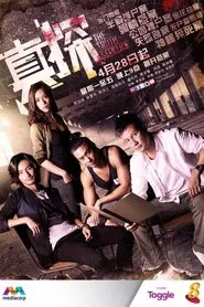 The Truth Seekers tv show poster