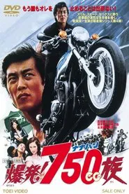 Hell Riders movie poster