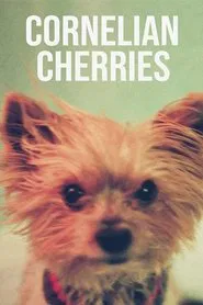Cornelian Cherries movie poster