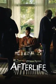 Poster do filme Afterlife