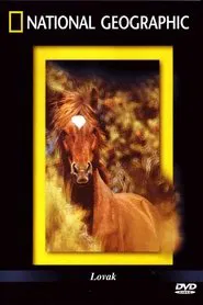 The Noble Horse movie poster