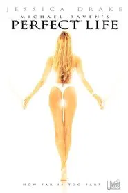Perfect Life movie poster