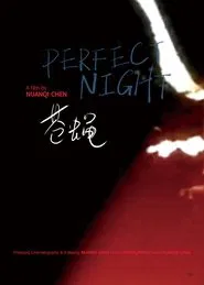 Perfect Night movie poster