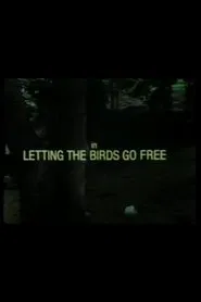 Letting the Birds Go Free movie poster