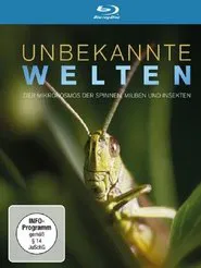 Reiterhof Wildenstein - Teil 2 - Kampf um Jacomo. movie poster