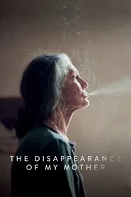 The Disappearance of My Mother movie poster