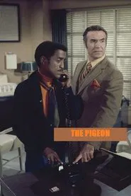 The Pigeon movie poster