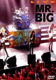 Mr. Big: Live movie poster