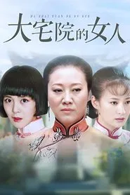 大宅院的女人 tv show poster