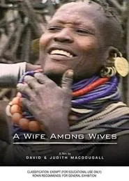 A Wife Among Wives movie poster