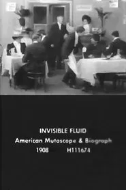 The Invisible Fluid movie poster