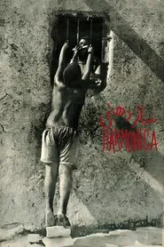 Harmonica movie poster