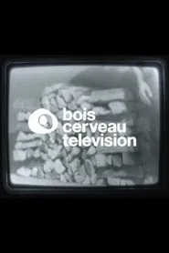BOIS CERVEAU TV (1) movie poster