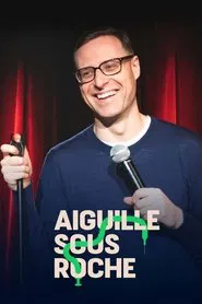 Aiguille sous roche movie poster