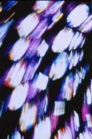 Deperdition Lointaine movie poster