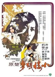 The Forbidden Past movie poster