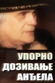 Persistent Invocation of Angels movie poster