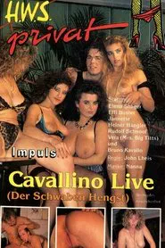 Cavallino Live (Der Schwaben Hengst) movie poster