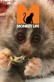 Monkey Life tv show poster