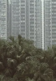 Poster do filme South Horizons