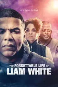 Poster do filme The Forgettable Life of Liam White