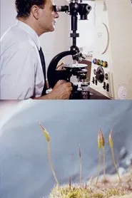 Un pequeño colonizador verde movie poster