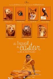 Poster do filme Le Travail du castor