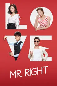 Mr. Right tv show poster