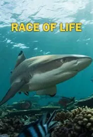 Race of life tv show poster