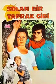 Solan Bir Yaprak Gibi movie poster