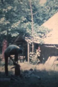 Vocation movie poster